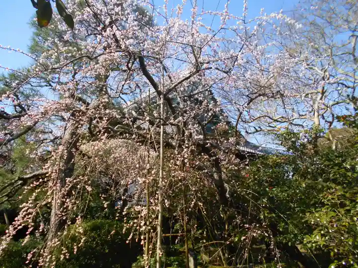 宝戒寺のその他建物