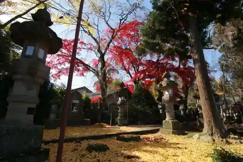 神炊館神社 ⁂奥州須賀川総鎮守⁂の景色