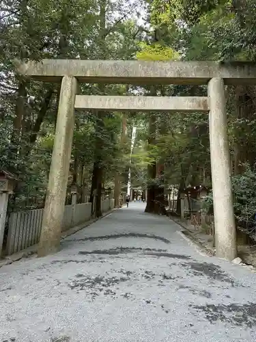 椿大神社の鳥居