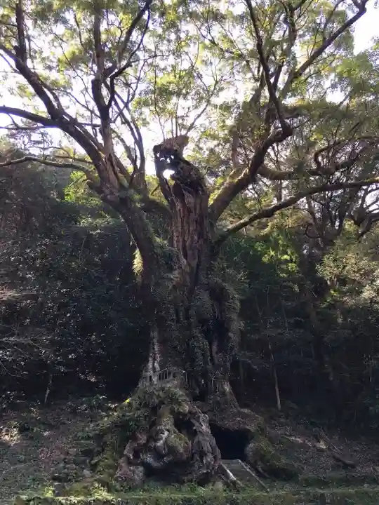 武雄神社(佐賀県)