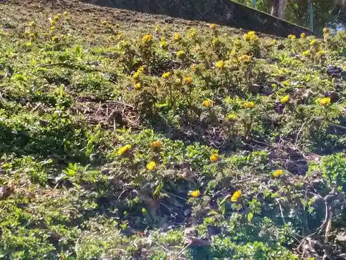 正観音堂(福島県)