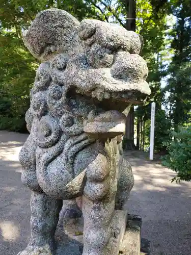 春日神社の狛犬