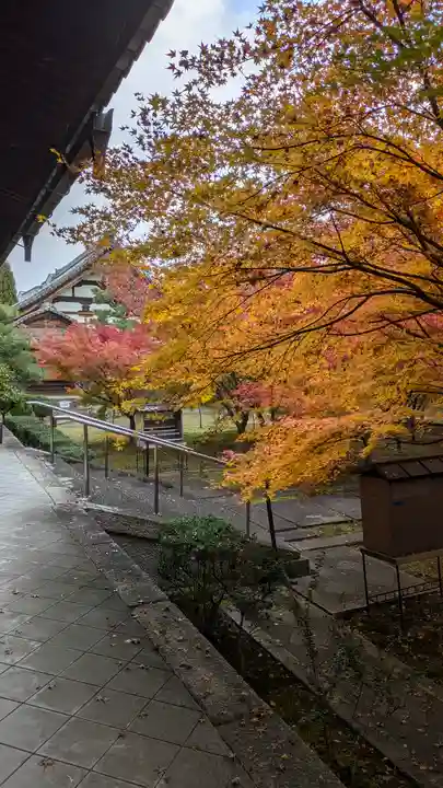 興聖寺(京都府)