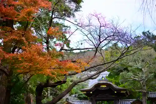 円覚寺(神奈川県)