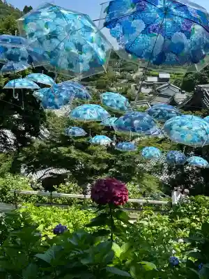 柳谷観音　楊谷寺(京都府)