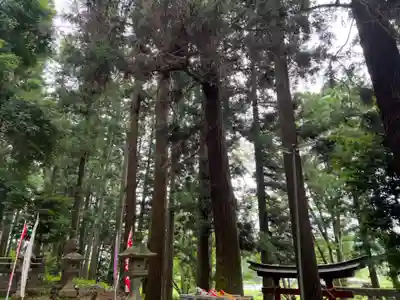 大宮温泉神社(栃木県)