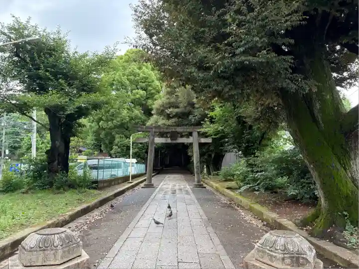 渋谷氷川神社(東京都)