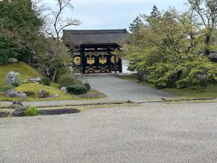 三宝院(三宝院門跡)の{uncategorized: "未分類", other: "その他", undefined: "問題あり", building: "その他建物", grave: "お墓", sacred_gate: "鳥居", guardian: "狛犬", statue: "像", buddha: "仏像", history: "歴史", nature: "自然", garden: "庭園", animal: "動物", pagoda: "塔", temizu: "手水舎", mountain_gate: "山門・神門", sanctuary: "本殿・本堂", subordinate: "末社・摂社", art: "芸術", scenery: "景色", jizo: "地蔵", ema: "絵馬", goshuin: "御朱印", omikuji: "おみくじ", items: "授与品その他", amulet: "お守り", goshuincho: "御朱印帳", eats: "食事", festival: "お祭り", votive_dance: "神楽", shichigosan: "七五三参", wedding: "結婚式", experience: "体験その他", initially: "初詣", around: "周辺", anti_infection: "感染症対策"}