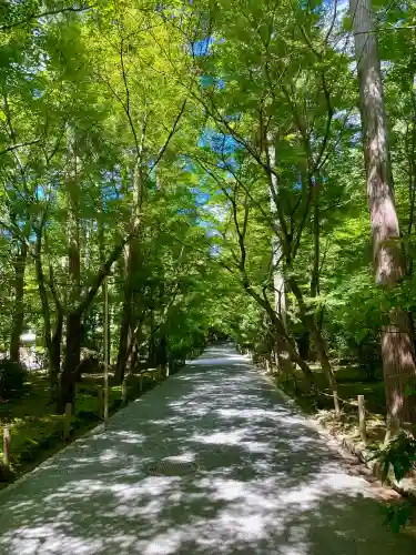 龍安寺の{uncategorized: "未分類", other: "その他", undefined: "問題あり", building: "その他建物", grave: "お墓", sacred_gate: "鳥居", guardian: "狛犬", statue: "像", buddha: "仏像", history: "歴史", nature: "自然", garden: "庭園", animal: "動物", pagoda: "塔", temizu: "手水舎", mountain_gate: "山門・神門", sanctuary: "本殿・本堂", subordinate: "末社・摂社", art: "芸術", scenery: "景色", jizo: "地蔵", ema: "絵馬", goshuin: "御朱印", omikuji: "おみくじ", items: "授与品その他", amulet: "お守り", goshuincho: "御朱印帳", eats: "食事", festival: "お祭り", votive_dance: "神楽", shichigosan: "七五三参", wedding: "結婚式", experience: "体験その他", initially: "初詣", around: "周辺", anti_infection: "感染症対策"}