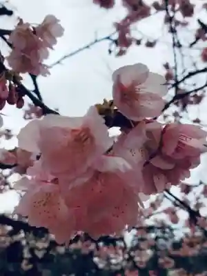 靖國神社(東京都)