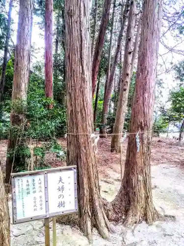 糟目春日神社の自然