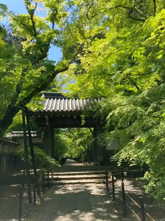 光明寺の山門・神門