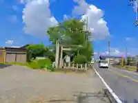 八劍社(一色中通)の自然