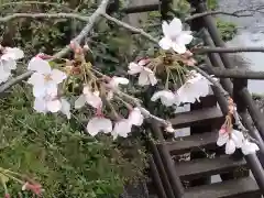 報国寺(神奈川県)