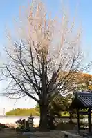 萬年山保国寺(愛媛県)