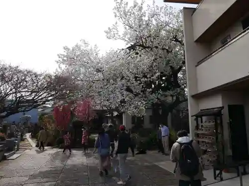 金嶺寺の景色