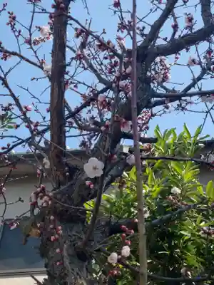本郷氷川神社(東京都)