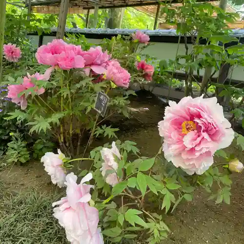 上野東照宮(東京都)