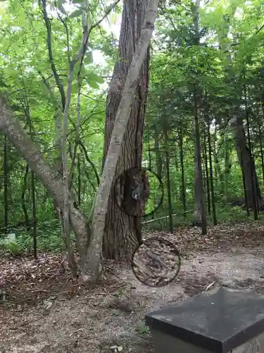 千歳神社の自然