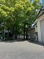 若宮八幡社(愛知県)