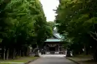 鶴谷八幡宮の本殿・本堂