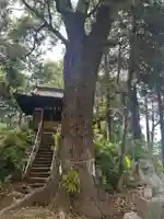 若電神社(埼玉県)