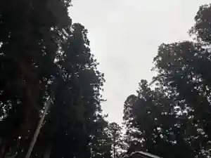 大宮温泉神社(栃木県)(2024年03月13日(水) 17時56分30秒投稿)