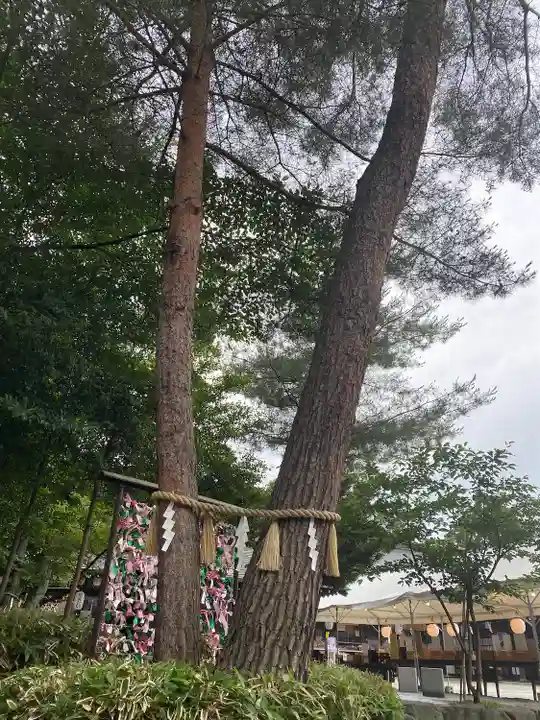 櫻木神社の自然