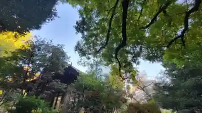 湯島聖堂のその他建物