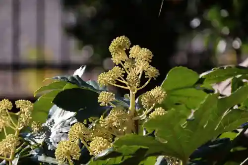 愛宕神社の庭園