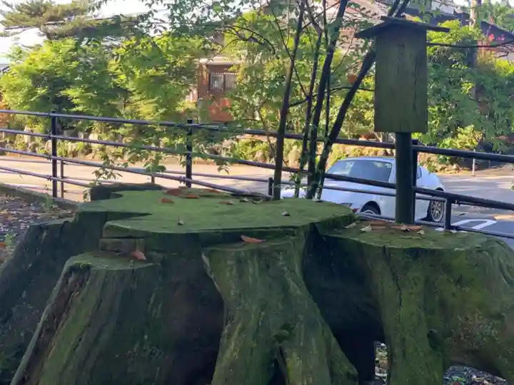 浅間神社の自然