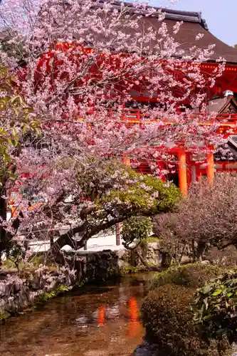 賀茂別雷神社（上賀茂神社）(京都府)