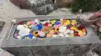本覚寺の{uncategorized: "未分類", other: "その他", undefined: "問題あり", building: "その他建物", grave: "お墓", sacred_gate: "鳥居", guardian: "狛犬", statue: "像", buddha: "仏像", history: "歴史", nature: "自然", garden: "庭園", animal: "動物", pagoda: "塔", temizu: "手水舎", mountain_gate: "山門・神門", sanctuary: "本殿・本堂", subordinate: "末社・摂社", art: "芸術", scenery: "景色", jizo: "地蔵", ema: "絵馬", goshuin: "御朱印", omikuji: "おみくじ", items: "授与品その他", amulet: "お守り", goshuincho: "御朱印帳", eats: "食事", festival: "お祭り", votive_dance: "神楽", shichigosan: "七五三参", wedding: "結婚式", experience: "体験その他", initially: "初詣", around: "周辺", anti_infection: "感染症対策"}