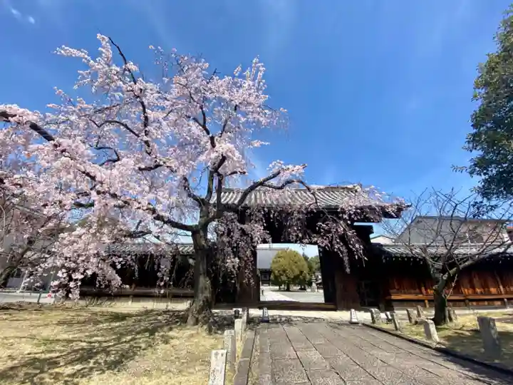 妙覺寺(妙覚寺)の山門・神門