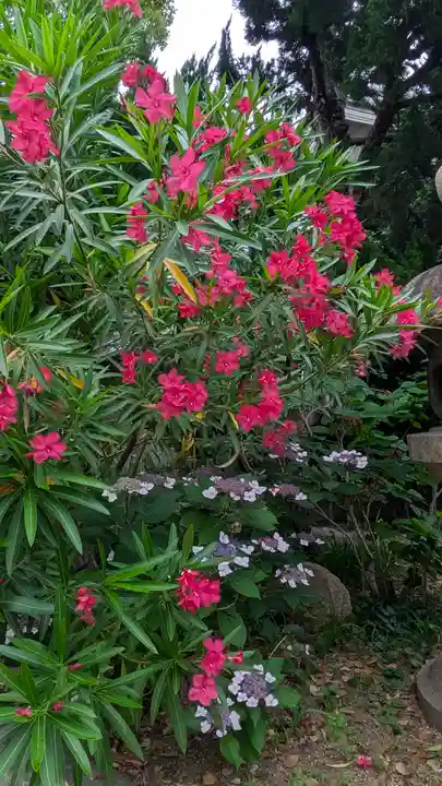 和光寺(大阪府)