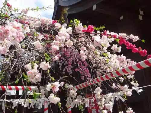 亀ケ池八幡宮の自然