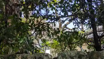 行泉院(滋賀県)