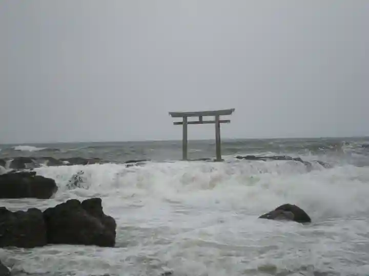 大洗磯前神社の自然