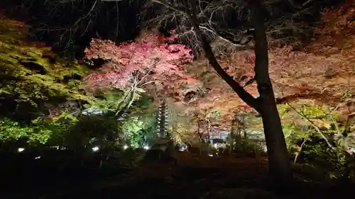 宝厳院(京都府)