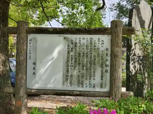 大天白神社(埼玉県)