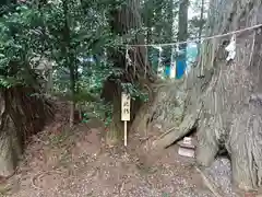 坪沼八幡神社(宮城県)