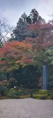 龍潭寺(静岡県)