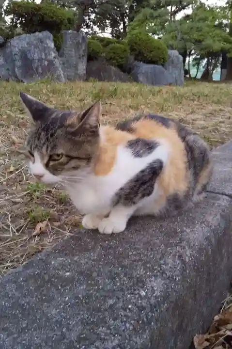 安楽寺(滋賀県)