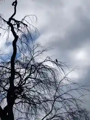 神炊館神社 ⁂奥州須賀川総鎮守⁂(福島県)