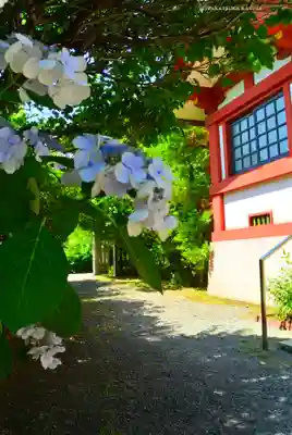 東神奈川熊野神社(神奈川県)