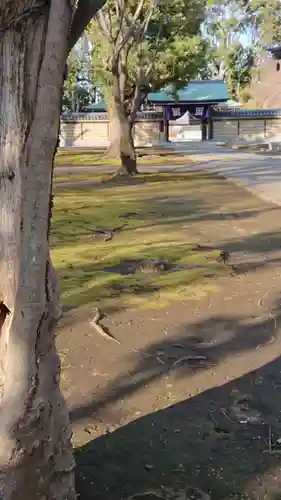 池上本門寺のその他建物