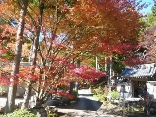 延寿禅寺の庭園