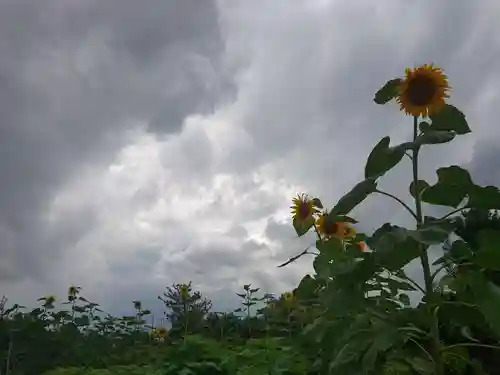 矢合観音の自然