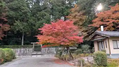 後鳥羽天皇・順徳天皇 大原陵(京都府)