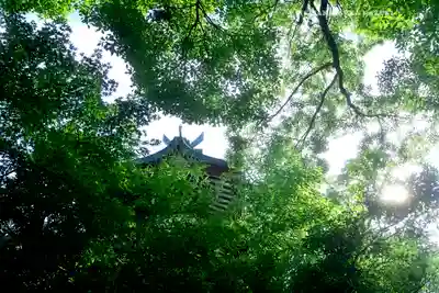 多摩川浅間神社(東京都)